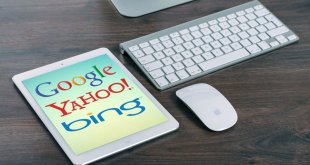 Specialist Seo
