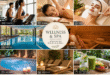 Pachete spa Brasov